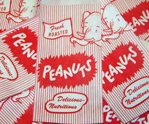 Vintage Peanuts Bag